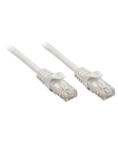 Cable De Red 1m Cat.5e U/utp Cable Gris