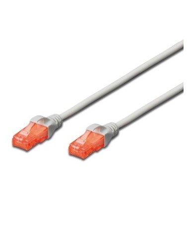 Cable Red Ewent Latiguillo Rj45 Utp Cat6 0.5m Gris