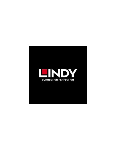 Lindy Basic Patch-cable - 30 Cm - Negro