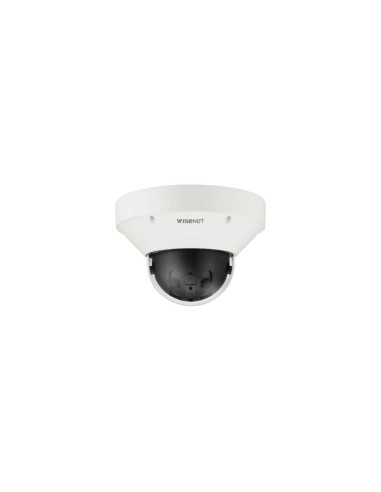 P Series 7.3mp Panoramic  Outdoor Vandal Dome Network